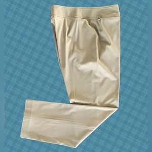 Ann Taylor Pants